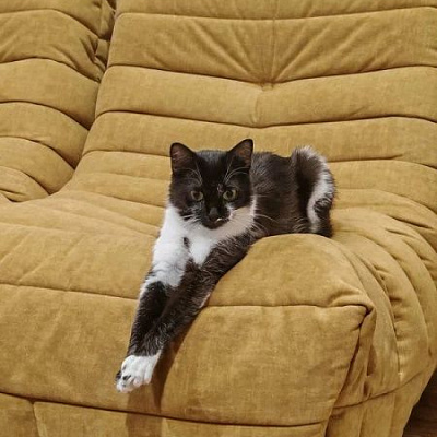 Изготовление бескаркасной мебели на заказ. Фото результата и отзыв клиента с оценкой 5/5.